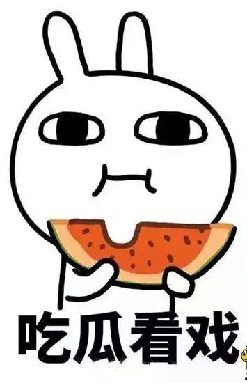 会长吃瓜爆料可信吗,可信度揭秘，真相究竟如何？